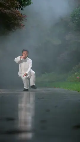Wudang Tai Chi: externally, one maintains an upright posture; internally, one cultivates character with noble spirit.#taichi 