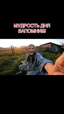 Не забудь подписаться и поставить лайк❤️ Напиши свою мудрость дня в комментариях  #мудростьдня #russia🇷🇺 #ии #нейровидео #юмор_видео 