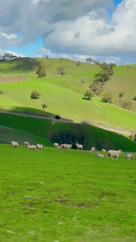 Heaven on Earth vibes at Adelaide’s Steingarten Lookout . The views are unreal – pure magic  #Adelaide #SouthAustralia #HiddenGems #TravelTok #NatureVibes     