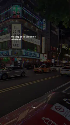 #creatorsearchinsights 