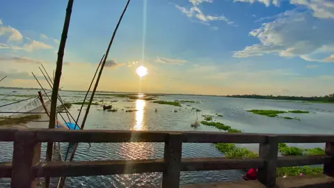 রোদ হলো প্রকৃতির হাসি, যা মনকেও হাসাতে পারে..!🥰#পকৃতি💝💝💝 #Rifat #foryou #viral 