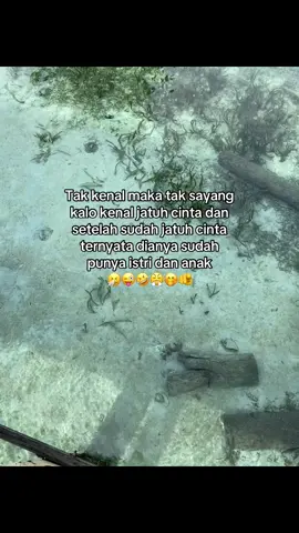 Kira-kira seperti itu🫵😜🤧🤭