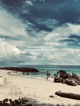 #fypシ゚ #masukberanda #manokwaritiktok #papuatiktok 