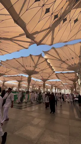Terlanjur jatuh cinta sama tanah suci mekkah dan madinah✨ #fyp 