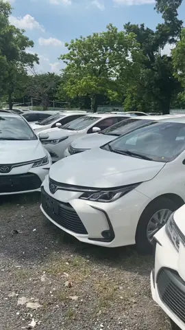 Toyota cool sale price #toyota #toyotacorolla #exporttrade #lowprice #wholesale 