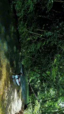 Xanh mát #travel #dalat #ancamp #foryour 