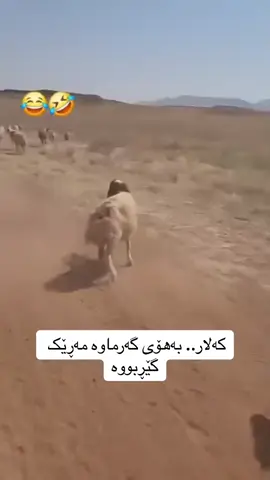 😄