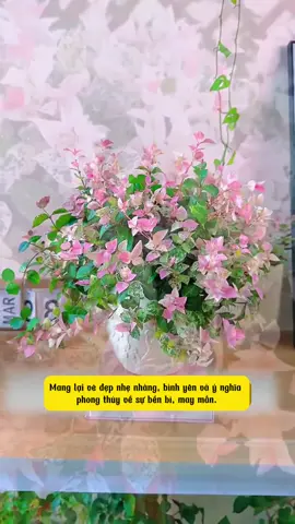 Thằn lằn Cẩm thạch - cây dây leo trang trí tuyệt đẹp cho mọi không gian sống của bạn! #thanlancamthach #caydayleo #caytrangtri  @MetGarden 