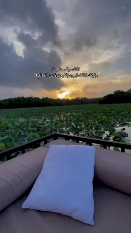 وهيك مكان🇱🇰🫶🏻.. #هدوء #عزلة #سريلانكا #sunsetmagic #peacefulmoments 