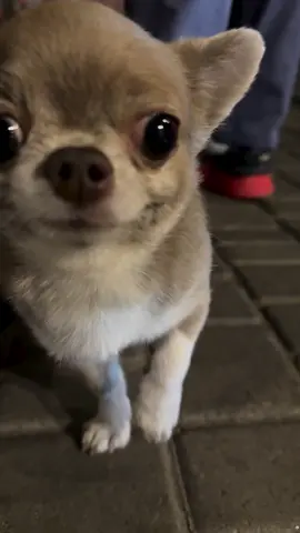 Малому огурчику щось недобре 