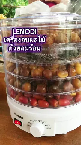 LENODI เครื่องอบผลไม้ ด้วยลมร้อน ใช้ถนอมอาหารด้วยลมร้อน ใช้งานง่าย มีถามสูงสุดได้ถึง 7ชั้น #เครื่องอบผลไม้ #ของมันต้องแชร์ #ทิมมี่มีรีวิว 