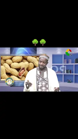 pour tout ceux qui continuent à faire pipi au lit🌳🌳 c'est l'Afrique qui gagne ✅