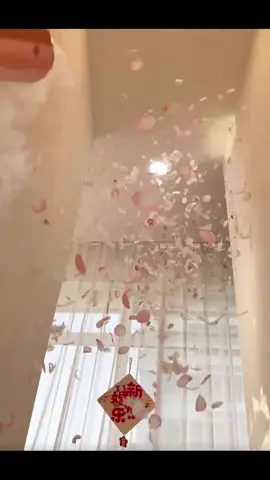 pháo giấy hoa hồng lông vũ đám cưới#phaogiaydamcuoi #wedding #xuhuong 