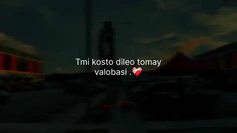 Tmi kosto dileo tomay valobasi .❤️‍🩹 #shek_said #fypシ #unfreezemyacount #status #said___07 