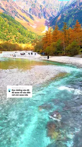 Trả lời @𝙷𝚘𝚊̀𝚗 Du lịch Kamikochi mùa lá đỏ , lá vàng 🍂🍁#日本生活#日本生活 #グルメ #旅行 #kamikochi 