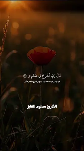 ‏تلاوة رائعة بصوت ‏القارئ سعود الفايز  #قال_ربي_اشرح_لي_صدرى_ويسر_لي_أمري  #قران  #سورة_طه  #سعود_الفايز  #fypシ゚viral   @َالمحامي الدكتور /سعود الفايز 
