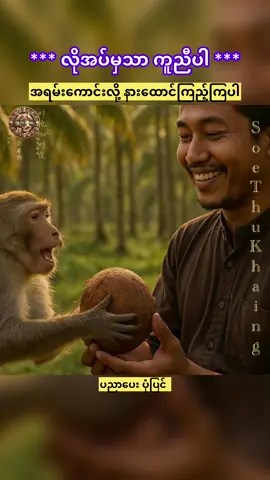 #Soethukhaing #tiktokautocampaign #fypシ #creditVoiceowner #ပညာပေးပုံပြင် 