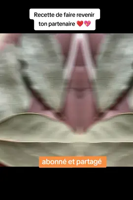 +229 91 14 47 70  Recette d'amour de coller serrer,il Elle pense à toi matin midi et soir ❤️💖💫💥