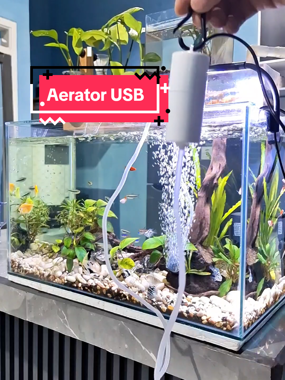 yang punya ikan yg banyak butuh oksigen wajib punya aerator USB ✨️, apalagi pas mati listrik kan repot bisa2 mati ikannya😌 #aerator #oksigen #aquarium #aquascape #murahbanget 