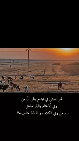 مجتمع متخلف. #like #اكسبلورexplore #متابعة 