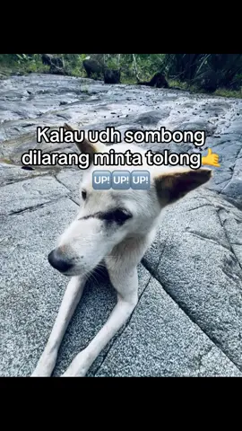 hufttt #foryoupageofficiall #storytime #lewatberanda 