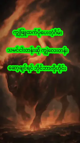 #myanmartiktok🇲🇲🇲🇲 #foryoupage #fyp 