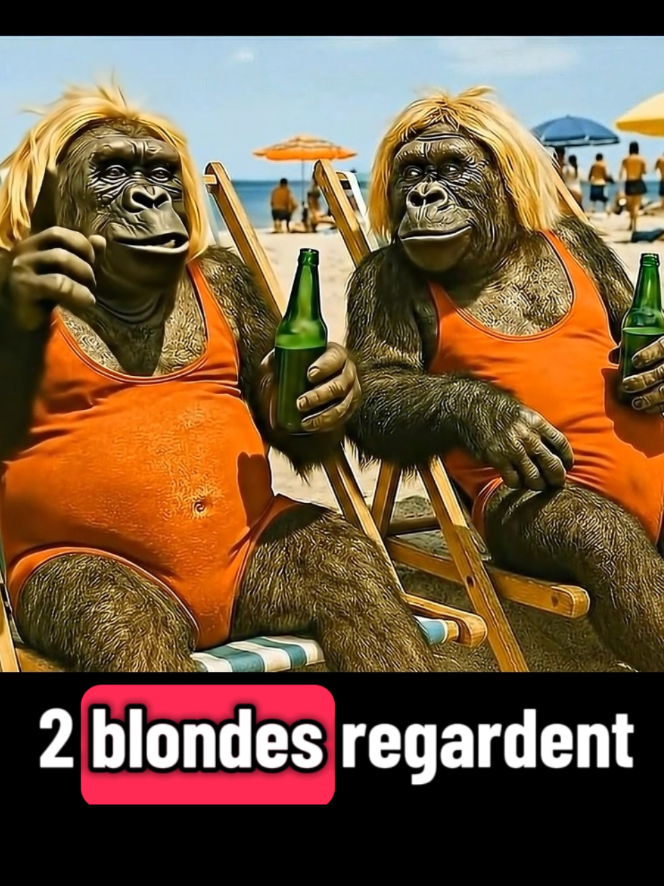 Les gorilles dérapent sur les blagues de blondes #blague #humour #blondes 