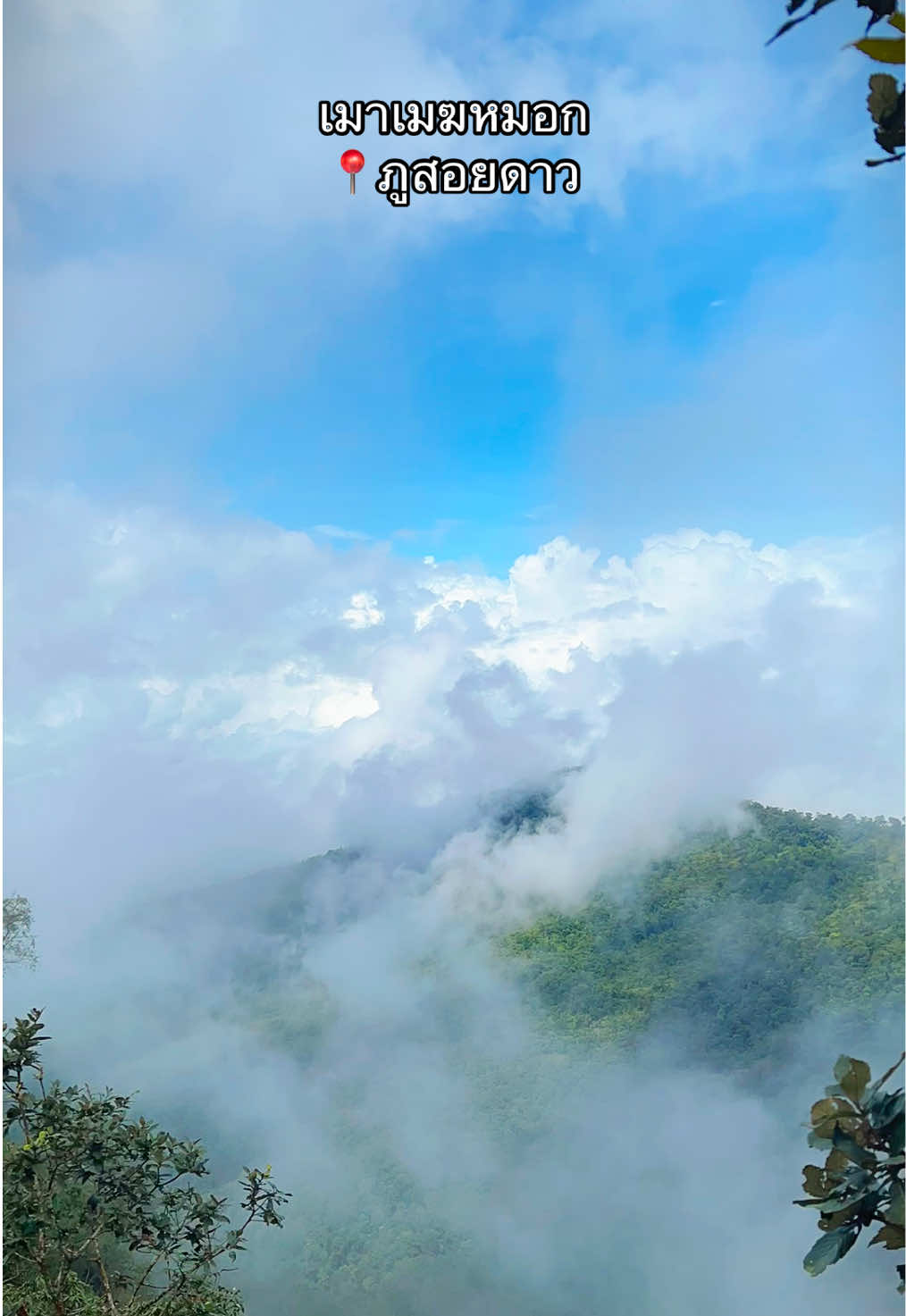 นั่งมองได้เป็นชม.ๆ 💚⛰️😶‍🌫️ #ภูสอยดาว 