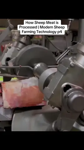 How Sheep Meat is Processed | Modern Sheep Farming Technology | Food Factory p4
