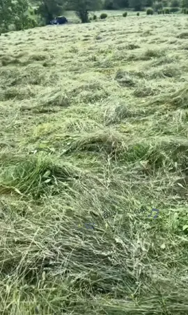 #CapCut 