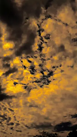 انا لست بهده القوة، أنا فقط أتعلم قبول كل ماهو مصيري “aku tidak sekuat itu, aku hanya belajar menerima semua yang menjadi takdirku” #arabic #arabicsong #arabicqoutes #syairarab #qoutesislami 