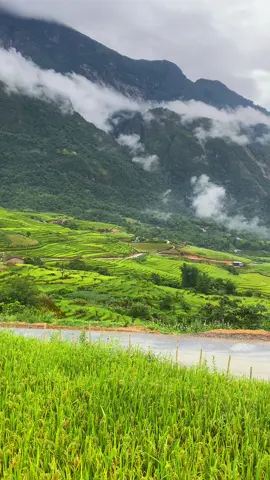 #dulichvietnam #dulichsapa #yty #batxat #laocai #travel 