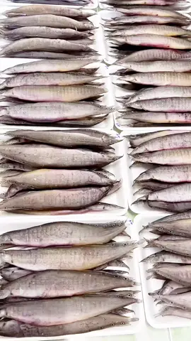 #khomuc #bepnhakieu #cákhô #ănvặt #khocamau  @khomuc6969 