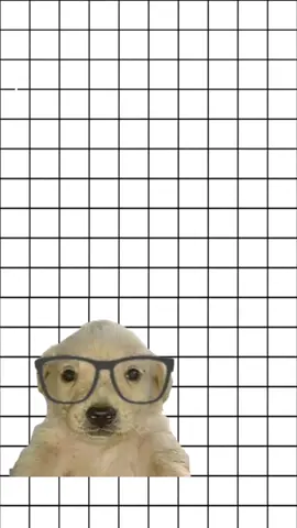 Teorema de Pitágoras (no se explicar muy bien, trataré de mejorar)  #teoremadepitagoras #perritos #fyp #matematicas #explicacion 
