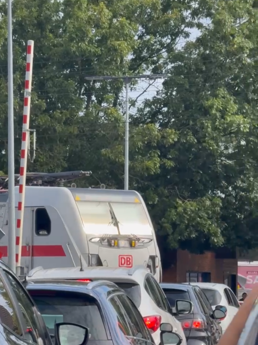 #viral #leer #diebahn 