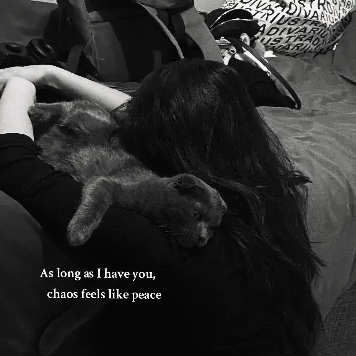 #fellings #sadnees #catlover #4u #relate 