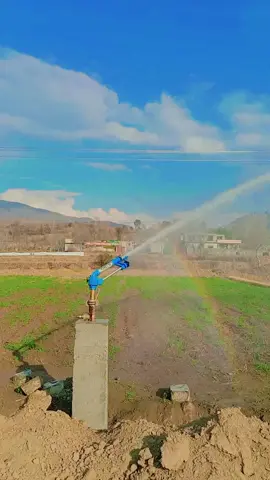 sprinkler irrigation system #kpkgovernament #drip #agribusiness #agriculture #peshawar 