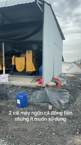 #xuhuong #nuoitomcongnghecao #71bentre_xinchao🌴 