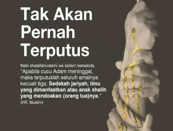 #kangsantri #Hambaallah #santrikeren #fypシ゚ #fypviralシ 