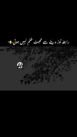 دُنیا چُھوڑ جاتے ہے-🥺#urdushayari #urduadablines #viralvideo #viewsprobelm @TikTok 