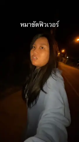 กลับจากกทม มอมจนหมาจำไม่ได้ #lovely #billieeilish #singing #ยัยย์แบม #fyp 