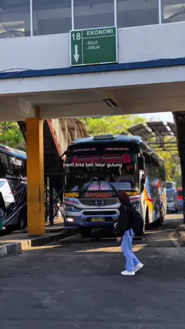 Sugeng rahayu W 7431 UY  mas ali klakson #fyp #sumbergroup #sugengrahayu #sumberselamat #sumberselamat🐬 