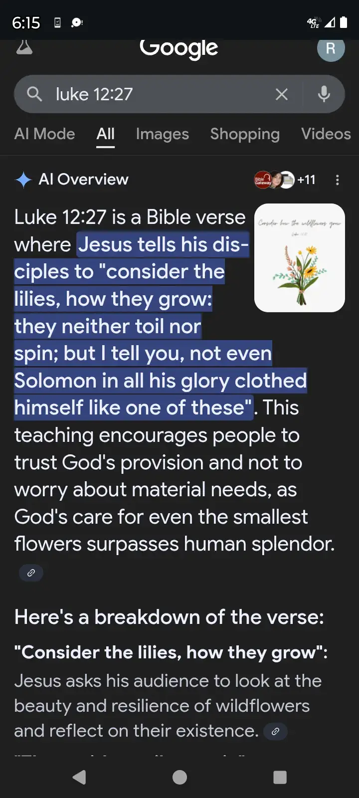 #goviraltiktok♥️💕foryoupage❤🦋🤘🥰🦋see💕 #viral_viral_viral_virsl😘🤚🥳 #jesuschristislord #jesuslovesyou❤️🙏✝️ #goviraltiktok♥️💕foryoupage❤🦋🤘🥰🦋see💕🎉🦋🦋 