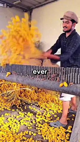 #reddit #redditstories #RedditGold #ViralStories #TrendingTales #StoryTime #MindBlowingReddit #EpicReddit #RedditDeepDive #hiddengems #storytelling #fyp #viral #explore #fypシ #foryou #RedditStories #TikTokReddit #StoryTime #TrueStory #RedditTales #ShareYourStory #TikTokTales #RealLife #LifeStories #Storytelling #CommunityStories #RedditThreads #Anecdotes #SliceOfLife #Narrative #FromReddit #ExperienceShare #ViralStories #HumanExperience #DailyStories #RedditRecap #TikTokNarratives #Storytellers #UniqueExperiences #InspiringStories #EmotionalJourney #EyeOpening #UnbelievableStories #MemorableMoments #StoryCommunity #HeartwarmingTales #MindBlown #LifeLessons #WisdomFromReddit #InspirationalStories #StoryTimeWithReddit #StoryHour #UnexpectedTurns #JawDroppingMoments #LifeReflections #StoryCorner #FascinatingStories #RedditNarratives #ShareYourExperience #LifeAdventures #AmazingStories #StoryLovers #RedditGems #ShareYourJourney #TikTokStorytime #USA #America #American #UnitedStates #usa_tiktok🇺🇸 