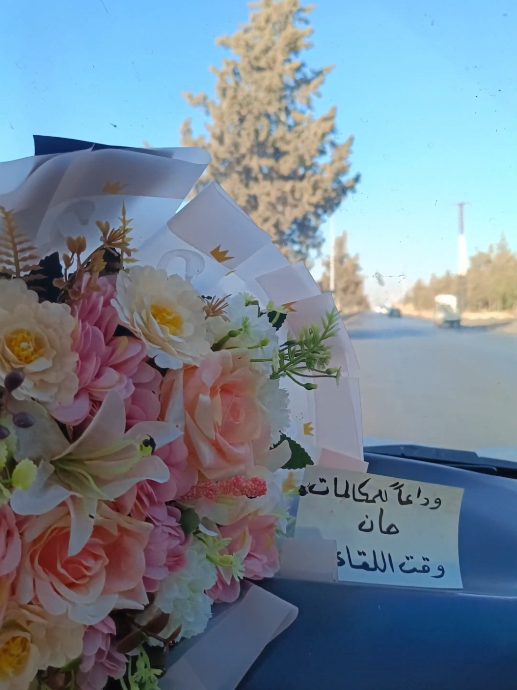 يا ألف أهلا وألف مرحبا بعودة أغلى ناسي🫶🏻.. . . . .. #CapCut  #foryou #fypシ #fyp #tiktok #explore #تصويري #احترافي #اكسبلور #ورد #سفر #عودة #ادلب #سرمدا #الدانا #عفرين #اعزاز #سراقب #سراقب_معرة_النعمان_خان_شيخون #سوريا #بلدي #ترندات_تيك_توك #يامسافر #ناصيف_زيتون 