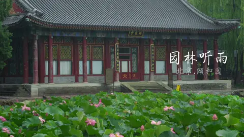 Nếu sớm biết tình này chỉ là nghiệp duyên đau khổ, ta đã chẳng dốc cạn trái tim để yêu một người không thuộc về mình. #cophong #phongcanh #canhdeptrungquoc #mongtrunghoa #viral 