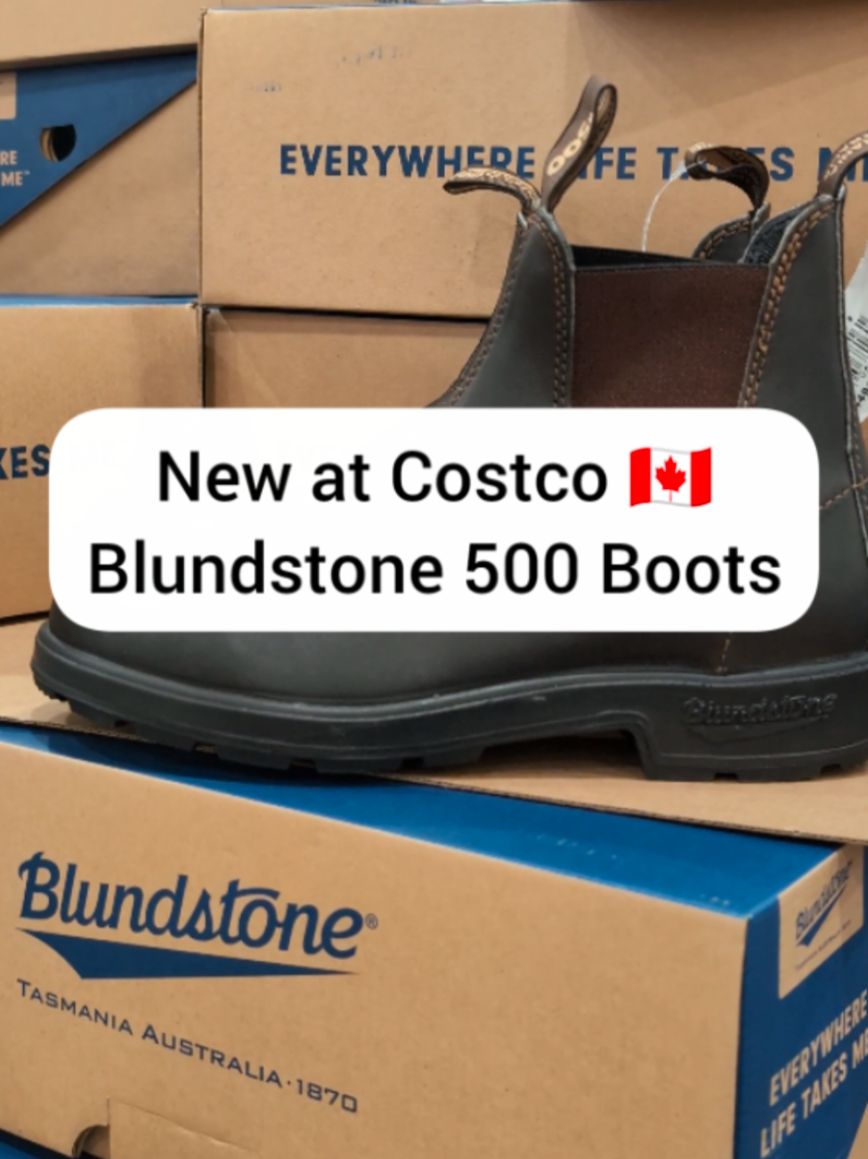 Blundstone 500 Original Boots at the new Costco 🇨🇦 Newmarket location!  #Costcohaul #CostcoFinds #CostcoCanada #Costcoclearance #costcoexclusive 