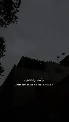 Sach haina ? 🥹#foryou #foryoupagе #urdupoetry #sadpoetry #urdushayari 