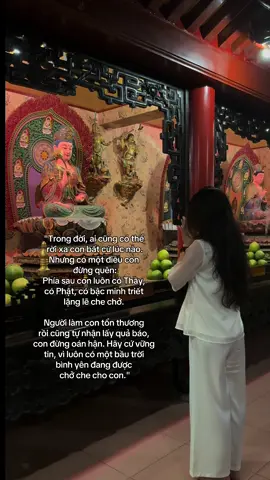 Nam Mô A Di Đà Phật 🙏🏻🙏🏻🙏🏻 #phapphucdichua #viral #phatphapnhiemmau #ngoclan #phatphap 