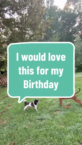 Engagement will help me get my birthday present! #fyp #birthday #wishlist #viral #engagement 